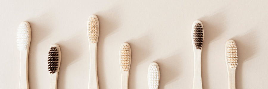 Oral Care