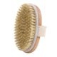Wooden Bath Brush – Dry and Wet Exfoliating Brush with Airbag Massager and Pig Bristle Scrubber